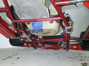 Kart Wildkart DD2 (5 foto / 10)