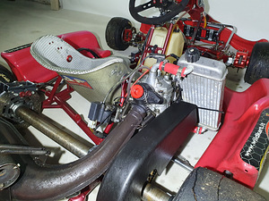 Kart Wildkart DD2 (8 foto / 10)