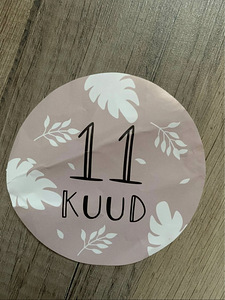 Beebi pildistamiseks kaardid (1-12 kuud) (2 foto / 3)