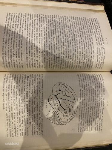 Антикварная книга по психологии 1920 год (фото #4)