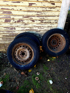 Veljed rehvidega (4 foto / 4)