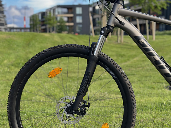 Jalgratas Giant 29