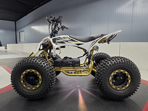 ELEKTRILINE ATV PHANTOM GOLD, 35 km/h (2 foto / 5)