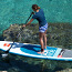 SUP paddle (RED paddle 10'6″ RIDE MSL) (foto #1)