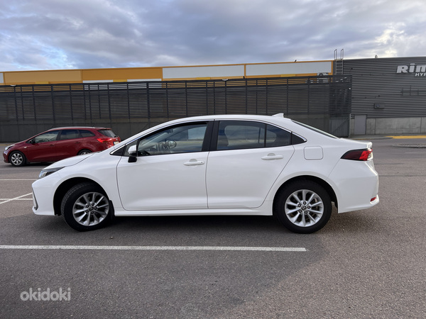 Transfeer transfer Eesti
