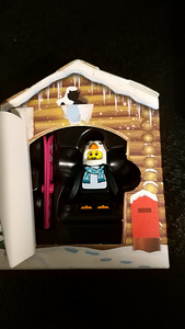 LEGO Пингвин Зимняя хижина (2 фото из 2)
