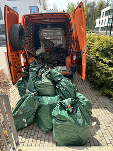 Prügi äravedu, utiliseerimine (6 foto / 7)