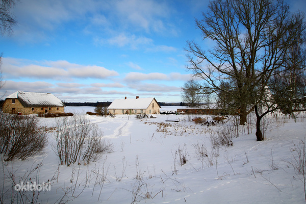 Järve, Tsirgumäe, Valga vald, Valgamaa