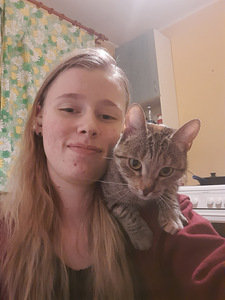 Cat looking for lovely home (10 foto / 10)