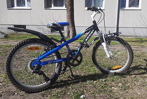 Jalgratas teismelisele (1 foto / 5)