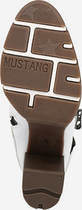 Mustang saapad 39 (3 foto / 3)