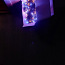 Новогодняя гирлянда . 500 ламп (фото #1)