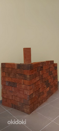 Elva brick (foto #2)
