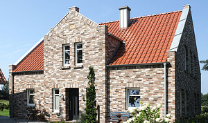 GeESTBRAND fels-grau, 240x14x71 mm, käsitsi vormitud plaadid (3 foto / 6)