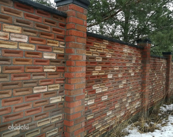 Tartu Flamisch-bunt brick/tellis 240x75x71 (foto #2)