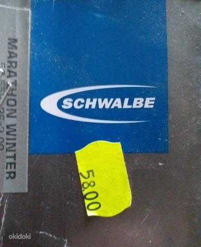 Schwalbe marathon 28 x 1,60 x 700. 2 tk. (foto #3)
