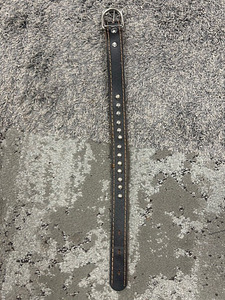 Vastupidav koera jalutusrihm metalklipsiga (3 foto / 4)