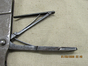 Salv Mosin (9 foto / 9)