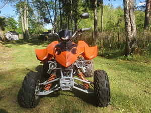 ATV Comanche 300cc. (3 фото из 8)
