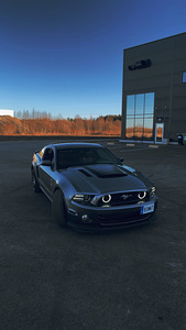 Ford Mustang Shelby edition (2 foto / 6)