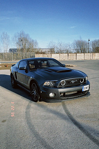 Ford Mustang Shelby edition (4 foto / 6)