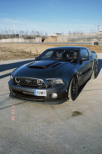 Ford Mustang Shelby edition (5 foto / 6)