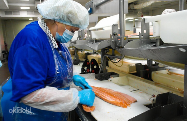 Kala tehas otsib töötajad (foto #1)
