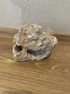 Akvaariumi kaunistused (9 foto / 9)