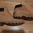 Ботинки Timberland 37 размер (фото #1)