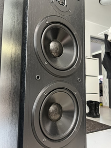 Yamaha R-S202D ja NS-F51 kõlarid (5 foto / 10)