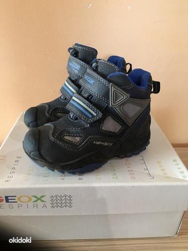 Ботинки Geox в/о сапоги, размер 24 (фото #1)