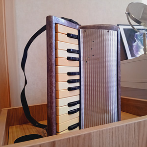 Akordion "Malõš", 1970–1980ndad (7 foto / 7)
