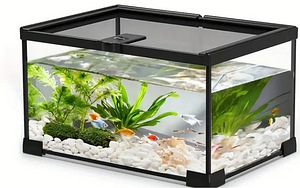 Terārijs (4 foto no 5)