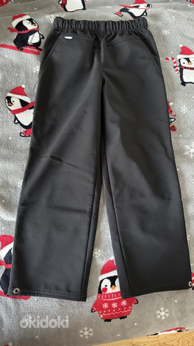 Продам штаны Lenne 122 размер и плюшевые штаны (фото #1)