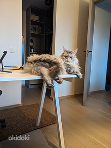 kirjutuslaud ja tool, IKEA (4 foto / 5)