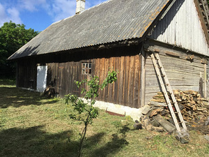Hoidjametsa, Vilsandi, Saaremaa vald, Saaremaa (4 foto / 10)