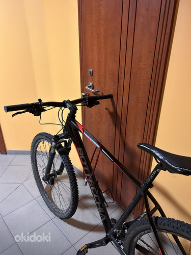 BOTTECCHIA 125 29 D LTWOO MS 18S Tallinn okidoki