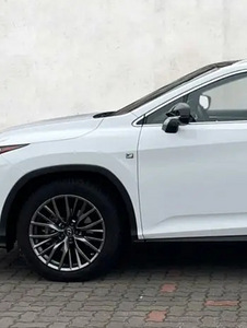 F-sport metallist märk Lexus (4 foto / 4)