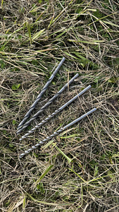 Puurid (1 foto / 1)