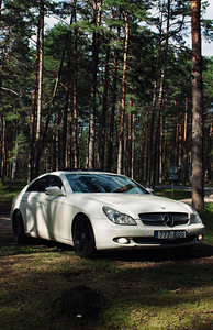 Mercedes Benz CLS 320 W219 (2 foto / 14)