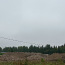 5000 тонн просеянного грунта, в 25 минутах езды от Таллинна. (фото #2)
