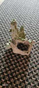 Akvariumi dekoratsioonid (3 foto / 7)