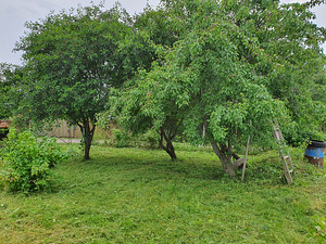 Kure tee, Maardu, Harjumaa (1 foto / 9)