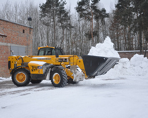 Katuse puhastamine, jääpurikate eemaldamine, lummekoristus (2 foto / 3)