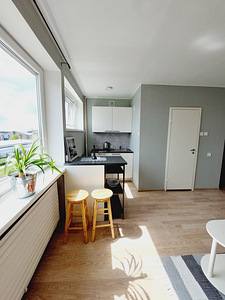 Punane tn 15, Lasnamäe, Tallinn, Harjumaa (2 foto / 10)