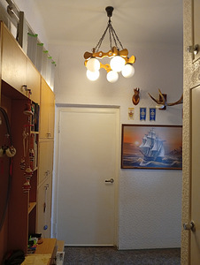 Tuuslari tn 4, Järve, Kohtla-Järve, Ida-Virumaa (5 foto / 14)