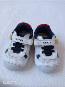 Uued kingad GEOX p 20(12) (4 foto / 8)