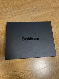 Baldinini meeste talvesaapad. s.43 (1 foto / 7)