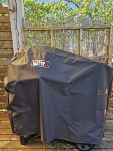 Elektrigrill Weber PULSE 2000 (2 foto / 4)
