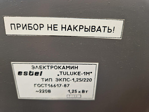 Elektrikamin (5 foto / 5)